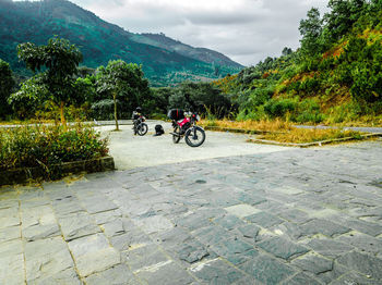 People riding bicycles on road