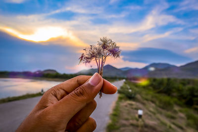 Close-up of hand holding dandelion against sky