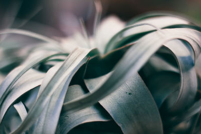 Full frame shot of spiral metal