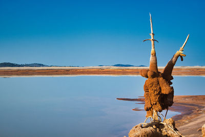 View of driftwood on landscape against clear blue sky