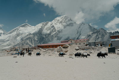 People on snowcapped mountains against sky
