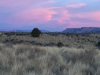 Scenic view of field against sky at sunset