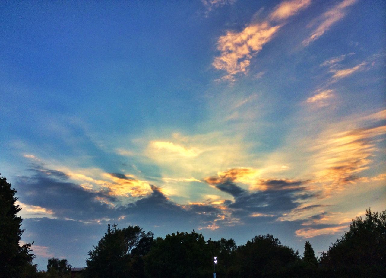 tree, sky, silhouette, low angle view, sunset, beauty in nature, tranquility, scenics, cloud - sky, tranquil scene, nature, cloud, blue, idyllic, dusk, outdoors, growth, no people, cloudy, orange color