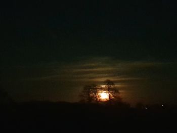 Silhouette trees on field against sky at night