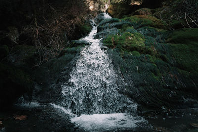 Stream flowing through rocks in forest