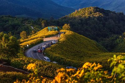 High angle view of road amidst trees and mountains