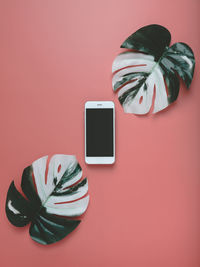 Close-up of potted plant on table against wall