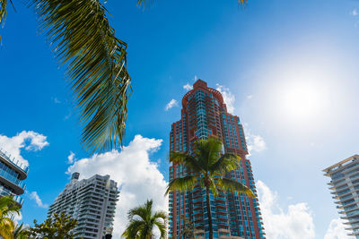 Low angle view of palm trees and buildings against sky