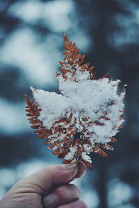 Close-up of hand holding frozen tree during winter