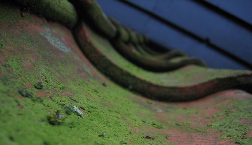Close-up of agricultural field against sky