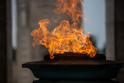 Close-up of fire burning against blurred background