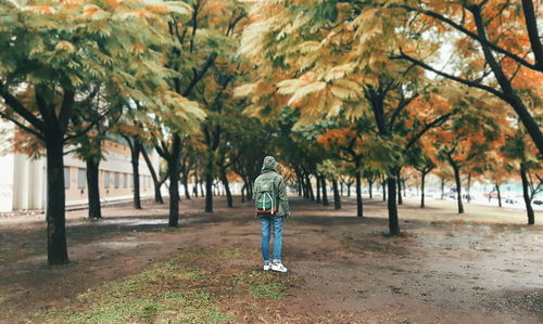 People walking on tree trunk