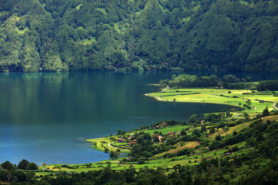 Scenic view of lake against trees