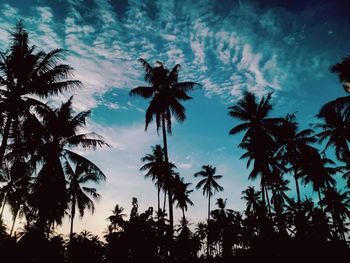 Low angle view of silhouette trees against sky at sunset