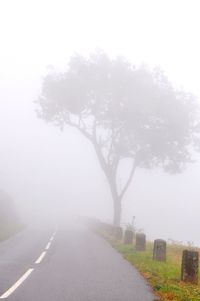 Empty road by trees against sky