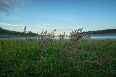 Scenic view of lake against sky