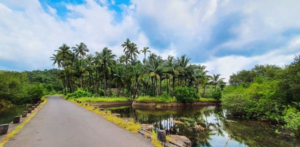 Panoramic view of road by trees against sky