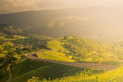 Aerial view of road amidst green landscape