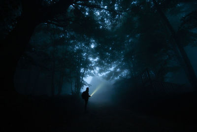 Silhouette person standing by trees in forest at night