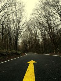 Road sign by bare trees against sky