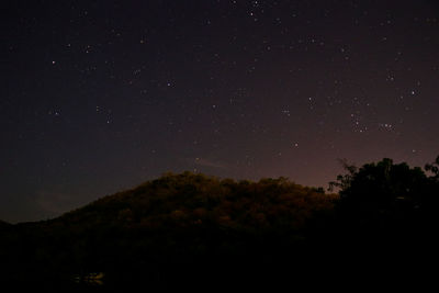 Low angle view of silhouette trees against sky at night