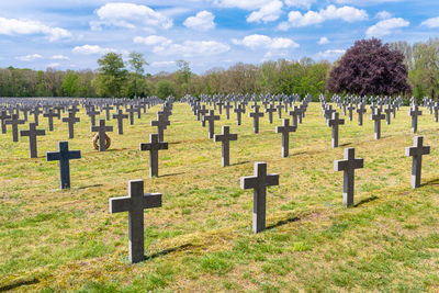 A lot of small, concrete crosses at the german war cemetery in the netherlands.