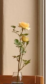 Close-up of flowers in vase at home