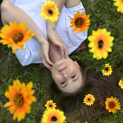 High angle view of yellow flowers on field