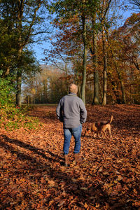 Rear view of man walking on autumn leaves