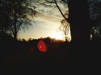 Silhouette of trees at sunset