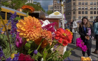 Multi colored flowers in city