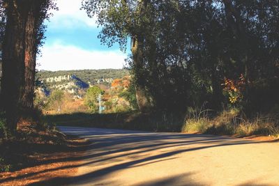 Road by trees against sky