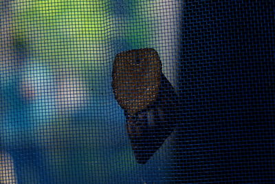 Close-up portrait of woman with reflection on window