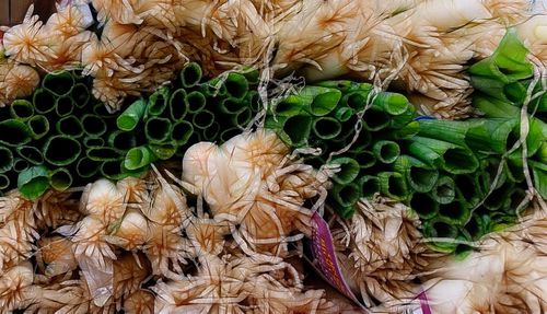 High angle view of snake for sale in market