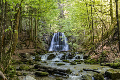 Waterfall in forest