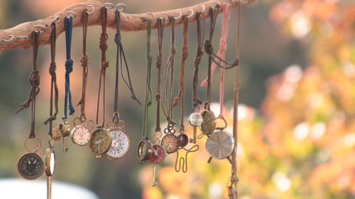 Close-up of fruits hanging on tree