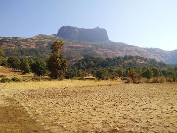 Scenic view of landscape against clear sky