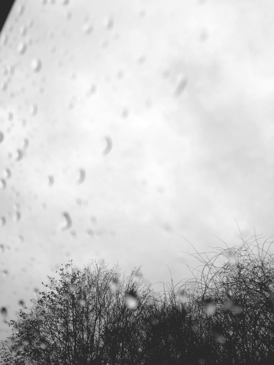 RAINDROPS ON WINDOW