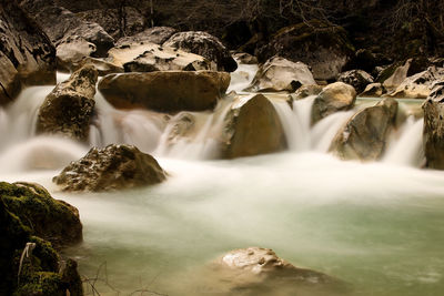 Scenic view of waterfall in forest