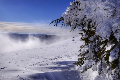 Scenic view of snow covered trees against sky