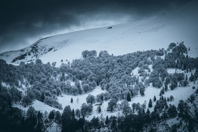 Trees on snow covered landscape against sky