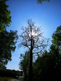 Low angle view of silhouette trees against clear blue sky