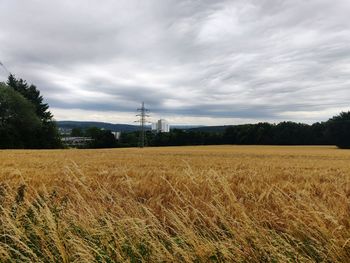 Scenic view of field against sky