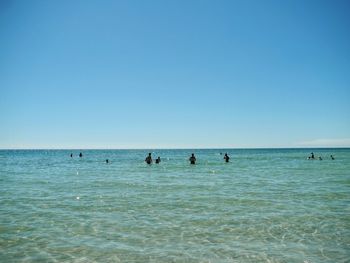 People on beach against blue sky