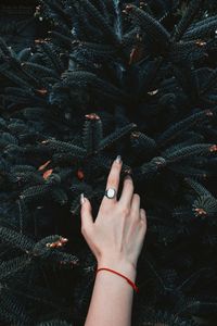 Midsection of woman holding tree at night