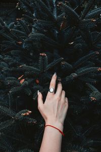 Cropped hand of woman touching plants