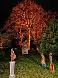 Sculpture in park during autumn