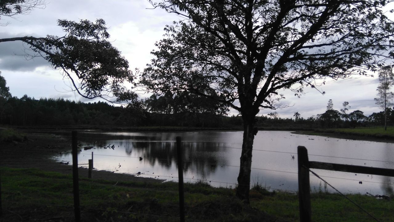 water, lake, tree, tranquil scene, tranquility, reflection, sky, scenics, beauty in nature, nature, grass, cloud - sky, lakeshore, idyllic, branch, cloud, non-urban scene, growth, river, outdoors