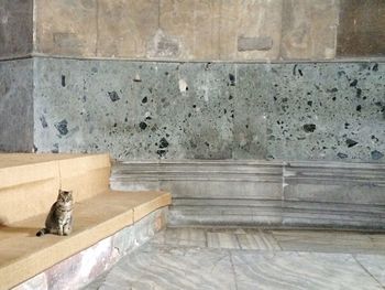 Close-up of wooden wall