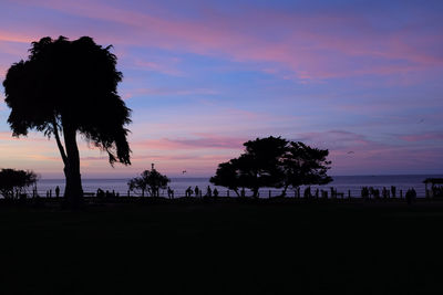 Silhouette palm trees on beach against sky at sunset